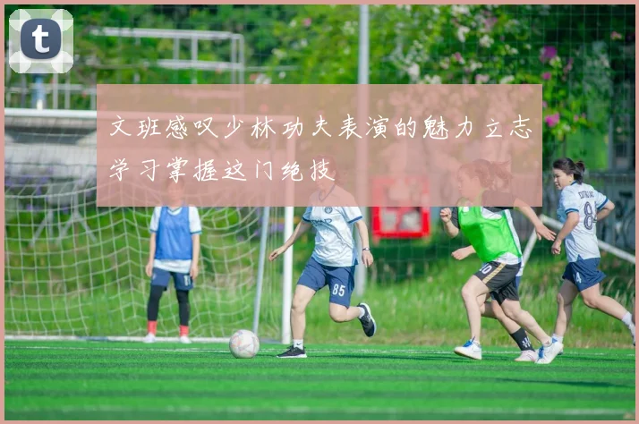 文班感叹少林功夫表演的魅力立志学习掌握这门绝技