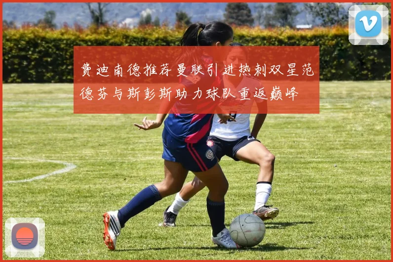 费迪南德推荐曼联引进热刺双星范德芬与斯彭斯助力球队重返巅峰